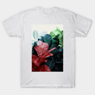 Exposure 03 T-Shirt